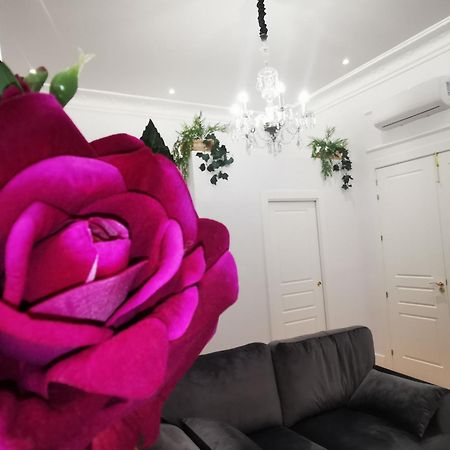 Rua Suites Boutique Salamanca Room photo