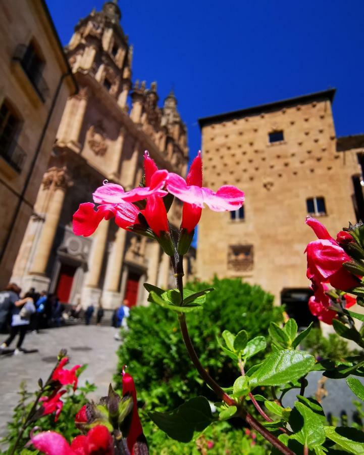 Rua Suites Boutique Salamanca Exterior photo